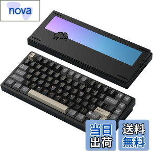 �y���������z�yWOBKEY Rainy 75�L�[�{�[�h�z�J���̂悤�ȑŌ��� ���J�j�J���L�[�{�[�h 3WAY�ڑ� OS�݊��� �z�b�g�X���b�v��VIA�̑Ή� �J�X�^�}�C�Y�� �K�X�P�b�g�f�U�C�� �A���~�j�E���f�ގg�p RG
