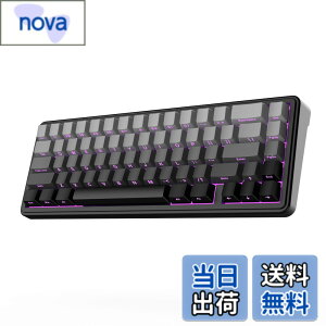 �y���������zEPOMAKER x AULA F65 65%���C�����X���J�j�J���L�[�{�[�h �z�b�g�X���b�v�Ή��K�X�P�b�g�J�X�^���Q�[�~���O�L�[�{�[�h 5�w�p�b�h RGB�o�b�N���C�g Bluetooth/2.4GHz/USB-C �����ς݃��j�A�X