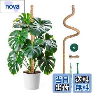 yzMcbazel ϗtA x Xe 120CM |px Ȃ\ RRibcEAx K[fjOp 7MM RCA|[p ێE{ێE_ƁE |p