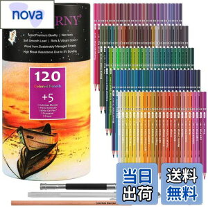 yzHIFORNY 125{̃J[yVZbgAl̓hGpA120F̃J[yVƃGNXgAA[eBXg̃\tgRAAlASҁAq̃h[COyVA[