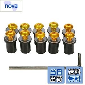 �y���������zLOYELEY �X�N���[���{���g 10�Z�b�g M5 5mm �{���g �E�F���i�b�g ���h�l�W �E�C���h�X�N���[�� �J�E����X�N���[���̌Œ� ���b�V���[�E�Z�p�����`�t�� �J���b�N �I�[�g�o�C �o�C