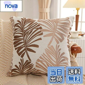 yzYunJeude NbVJo[ 45x45cm k 2Zbg Ȃƃl   t̕ WK[hD t@Xi[ CeA (45x45, R[q[)