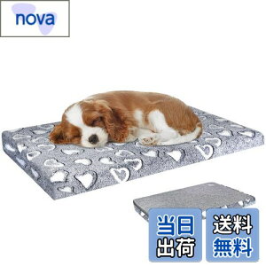 yzVANKEAN xbh ybgxbh ybg}bgX ӂӂ ^p ^p hCjO O\ @Ő􂦂 lG ʔN^Cv ƂT|[g CgO