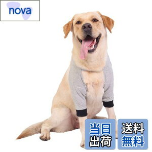 yzOuriken  T|[^[ ybgp Ђ  O I  p ֐߃veN^[ Vpi ybgpi OT|[^[ ߉\ rߖh~ ^ ^ ^ O[-M