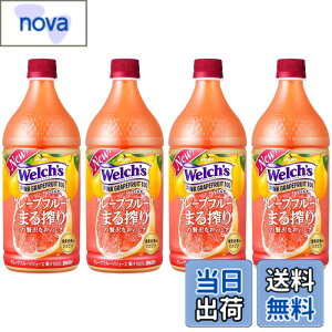 �y���������z�A�T�q���� Welch's �s���N�O���[�v�t���[�c100 800gx4�{ [�E�F���`] [�ʏ`]