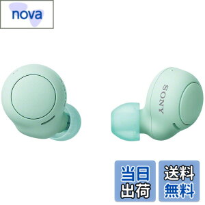 �y���������z�\�j�[(SONY) ���S���C�����X�C���z�� WF-C500 : /�y�ʏ��^5.4g/�����x�ʘb�i��/�ȒP�y�A�����O/IPX4�h�H���\/�A�C�X�O���[�� WF-C500 GZ
