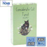 【送料無料】オラクルカードパーティーゲーム | 占いカード | 神秘的な猫のタロット パーティーの記念品 …