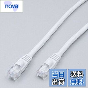�y���������zELPA(�G���p) LAN�P�[�u�� CAT6a 10M 8��8�c�p