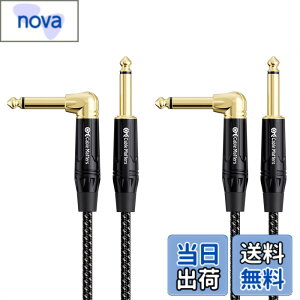�y���������zCable Matters 2�{�Z�b�g �ґg�M�^�[�P�[�u�� - 3m�A�M�^�[ �V�[���h S-L�^�A 6.35mm���m�����v���O �y��p�P�[�u�� TS �X�g���[�g - L �^�v���O