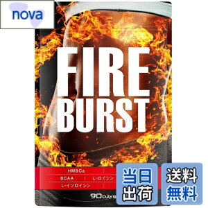 �y���������z�yFIRE BURST�z L-�J���j�`�� BCAA�z�� �T�v�� ���I�f�� 90����