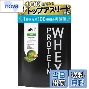 �y���������z�y���{���������zuFit Whey Protein �z�G�C�v���e�C�� WPC �S�t���[�o�[�l�H�Ö����s�g�p ���� 1kg �Â��T���� �n���₷�� �A���R���Ö��� �X�e�r�A �A���`�h�[�s���O�F�� �v���A�X��