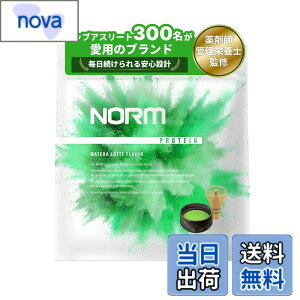 �y���������zNORM �m�[�� �z�G�C �v���e�C�� �l�H�Ö����s�g�p �������e 1kg �������� 300���ȏ�̃g�b�v�A�X���[�g���p WPC WHEY PROTEIN �z�G�C�v���e�C��