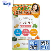 乳酸菌 妊娠中 鉄分 サプリ 妊婦さん向け鉄分サプリおすすめ10選 失敗しない選び方や効果 市販と通販の違いまで解説