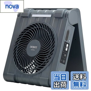 �y���������z�A�s�b�N�X(APIX INTL) ENEMATE ��@ �F�F�R�X���O���[
