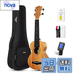 �y���������zEnya �}�z�K�j�[�E�N���� �F�F�؂̐F�\�v���m�E�N�����A�T�C�Y�F�\�v���m