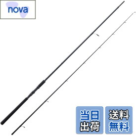 【9月1日ー9月15日まで200円オフ】【送料無料】Abu Garcia (アブガルシア) SALTYFIELD ソルティーフィールド 各種 ソルト ロッド 釣り竿 入門 エントリー 初心者 色：なし、サイズ：スピニング:10.0MH(ミィディアムヘビー):ライトショアジギング/シーバス