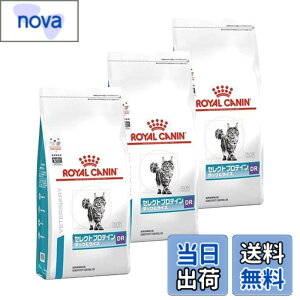 �y���������z���C�����J�i�� �Z���N�g�v���e�C�� �_�b�N�����C�X �L�p 500gx3 �T�C�Y�F3
