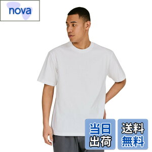�y���������zHanes �r�[�t�B�[ T�V���c�r�[�t�B�[ T�V���c BEEFY-T 1���g ��100% �������n �w�r�[�E�F�C�gT H5180�����Y �F�F�z���C�g�A�T�C�Y�FL