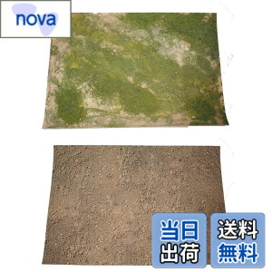 �y���������z�yGood in three directions�z41x29cm ����y 1/35 �T�C�Y��ԑ� �W�I���} �t�B�M���A �p �W�I���}�V�[�g 2��� �Z�b�g (�n��) �F�F�n�� A�A�T�C�Y�F41cmx29cm