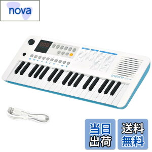 �y���������zONETONE �����g�[�� �d�q�L�[�{�[�h �~�j37���� LED�f�B�X�v���C���� USB-MIDI�Ή� ���{��\�L OTK-37M �F�F�z���C�g/�u���[