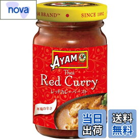 【9月1日ー9月15日まで200円オフ】【送料無料】AYAM Since 1892 Food AYAM(アヤム) カレーペースト 色：100g、サイズ：100 g