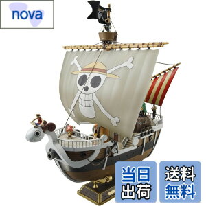 �y���������z�����s�[�X �S�[�C���O�����[�� (From TV animation ONE PIECE) �F�����ς݃v�����f�� �F�F�}���`�J���[�A�T�C�Y�F��