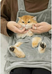 LGv LpJK[Gv ybgXO LR JK[|Pbg ybgLQ L jR 킢 Lܐ؂Gv єSh~ h g ^ L 