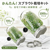 【期間限定クーポン】スプラウト栽培キット 種子発芽ジャーセット メイソンジャー式 ブロッコリースプラ…