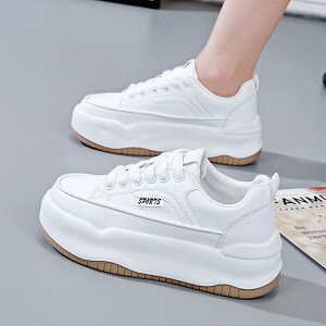 Xj[J[ fB[X C X|[cV[Y V[Y ~ h r r ₷ Ȃ ɂȂ ʋC Vv ʋ ʊw  C ꂢ  ₷ y