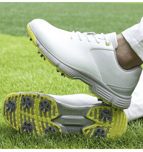 StV[Y Y  傫TCY 4E L XpCNe \tgXpCN y ₷ ʋC ϋv ϊ K rWlX Mtg ̓ ސEj ϋv K   