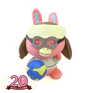 NOVAbʂ݁ipCbgjbNOVA20N