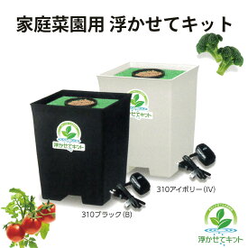 家庭菜園用 浮かせてキット ブラック/アイボリー 水耕栽培野菜 家庭菜園 室内