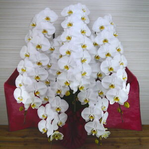 Ӓ(X[p[nCO[h^Cv)5{ zCg