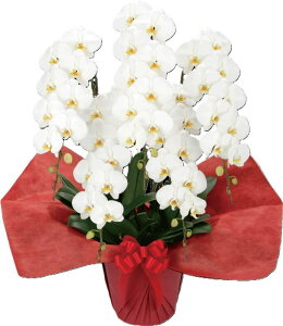 Ӓ(rWlXO[h^Cv)5{ zCg