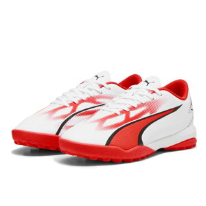 EgvC TT + MidWjA@107534@01