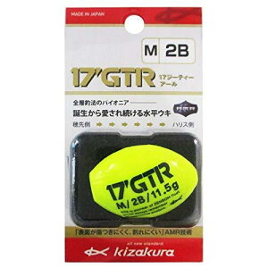 �L�U�N��(kizakura) �E�L 17Kz GTR M �C�G���[ 2B 38099