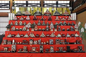 ND ^yXg[ Ղ l` fR[V p[eB[ ʐ^Be 킢  唻 傫 ډB z  t wiz CX^f ObY  CeA a a_ G