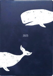 GR~[ }gJ 蒠 2025N 1n܂ B6 }X[ NW