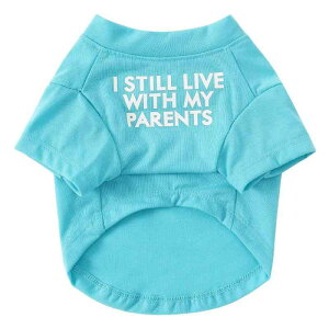 Jimjis  t  H ~ ̕ ^Ngbv ybg   L    hbOEFAm L̕ ʋC Lk U o  ѕی 