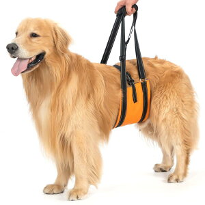 Avont p  s⏕ n[lX VT|[g pi oh߉\