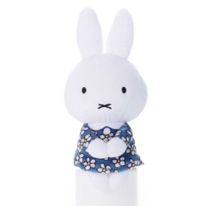 u[i 肳 ~btB[ (a) ʂ 15cm
