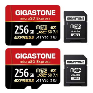�ySwitch 2 ��p�݌v�zGIGASTONE microSD Express microSD�J�[�h 256GB 2���Z�b�g SD7.1 �ǂݎ�葬�x/�������ݑ��x�ő� 880/650MB/s A1 V30 U3