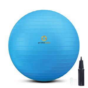 v}\[ oX{[ 45cm 55cm 65cm 75cm Ct A`o[Xg ω׏d300kg tBbglX{[ W{[ tBbglX