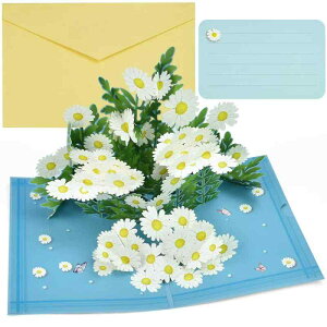 SIYINGSAERY 3D|bvAbvJ[h fCW[ t ̔яoO[eBOJ[h ̓/̓/a/p bZ[WJ[ht 17.5×12.5cm dグ ȏjJ[h