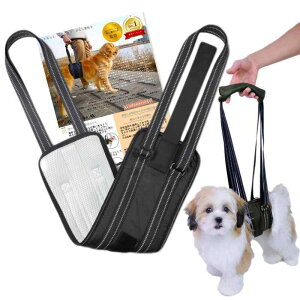 Kyogoku �� ���s �⏕ �n�[�l�X �y�b�g�T�����ďC �V�� ��� ���� �㑫 ���s��