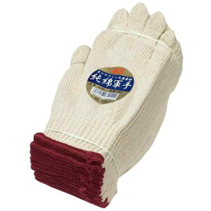 [ACE] ȌR 1_[X 750g 5{ AG155 f