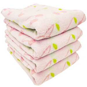 (Hayashi) oX^IQt[cV[Y