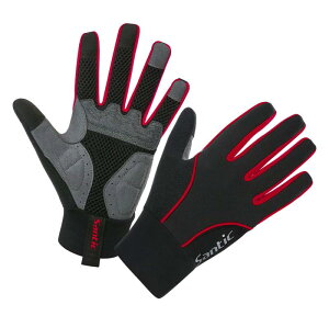 [TeBbN] ]ԃO[u TCNO[u ~ oCN X|[cO[u h h X}z Y fB[X