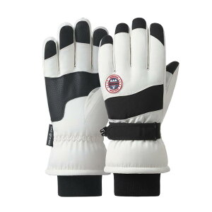 XL[O[u h ~p XL[ Xm[{[hO[u y3wfMf/hH/hۉ/^b`plΉ/~/N/h~zXm[{[hEVсEXL[E