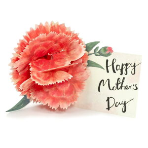 グリーティングライフ 母の日 カード フラワーポップアップ カーネーション レッド LY-25
